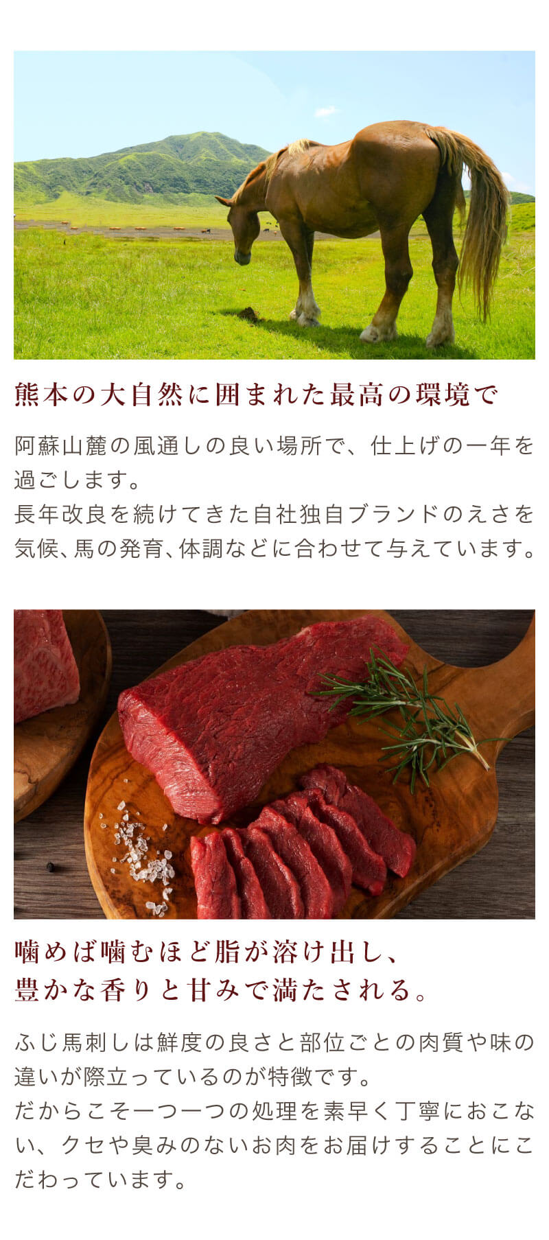 ふじ馬刺し
